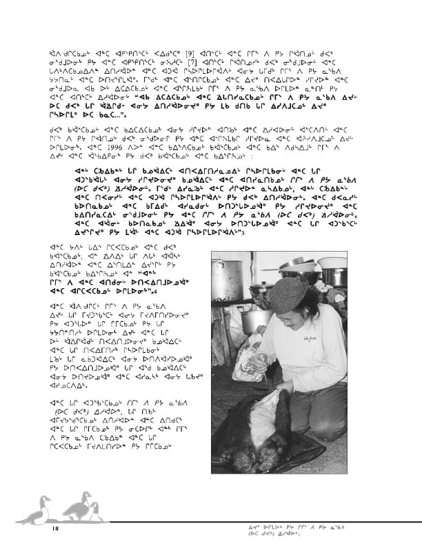 11923 CNC Report 2004_NESK - page 18